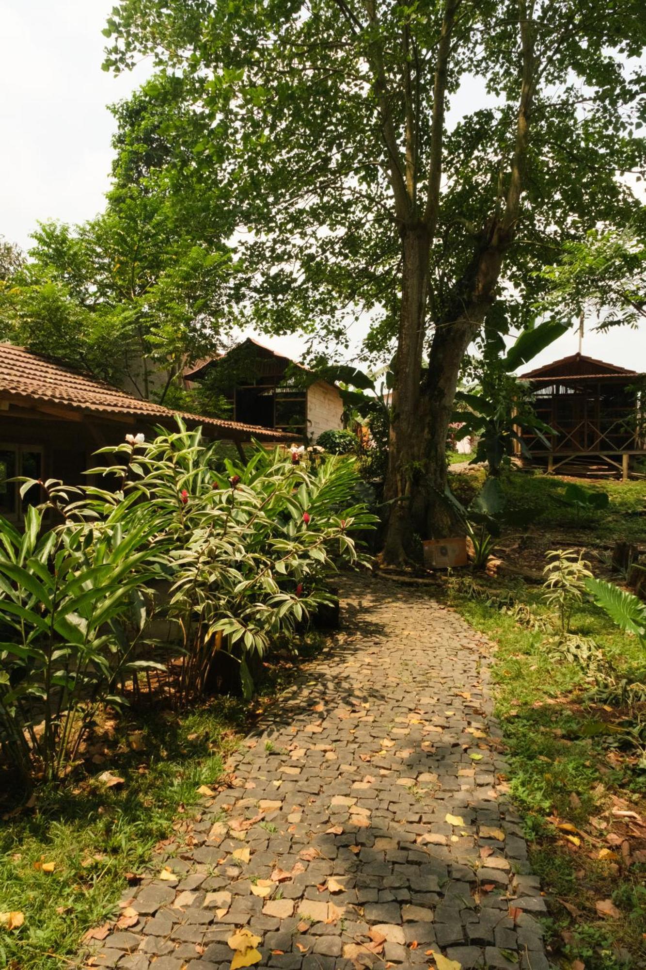 Roca Maria Helena-Principe Hotel Santo António Exterior foto